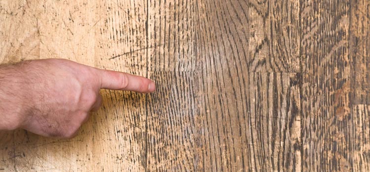 Wood Door Scratch Repair in Ramona